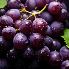 close up photo of purple grapes. summer. wallpaper. background. Japanese grapes