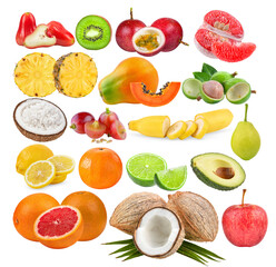 rose; apple; Pineapple; kiwi; Passion fruit; Grapefruit; papaya; coconut; macadamia; lemon; orange; lime; grapefruit; coconut; avocado; apple; pear on transparent png