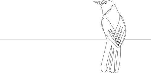 bird continuous line drawing, sketch on white background vector