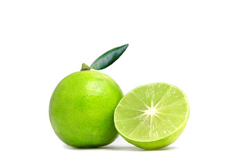 Close up of fresh green lemon lime with water droplets isolated on white background. Large fresh green lime with clipping path.