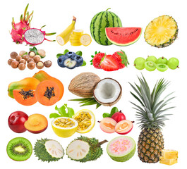 dragon fruit; macadamia; banana; watermelon; blueberries; papaya; coconut; pineapple; Indian...