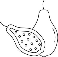 Papaya Icon Or Symbol In Black Thin Line Art.