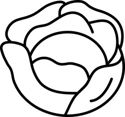 Cabbage icon in thin line art.