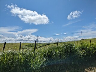 Aso milk road, vast grasslands cover the north outer rim