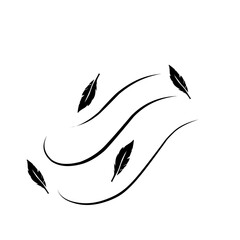 feathers blowing in the wind