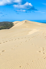 Dune of Pilat and Landes forest on a summer day in La Teste-de-Buch, France 
