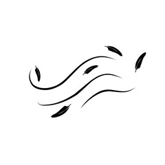 feathers blowing in the wind