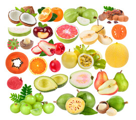 coconut; orange; guava; red cherry plum; Tamarind; pear; Strawberry; rose apple; grapefruit; Bael; passion fruits; melon; papaya; Macadamia; Indian gooseberry; avocado;  on transparent png