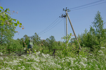 A high-voltage pole with wires stands in a field among grass and trees