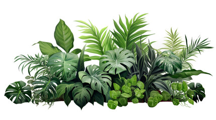 tropical plantings on white background for your design. Generative Ai