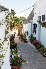 Fototapeta na wymiar traditional trulli houses in southern Italy, Puglia region, Alberobello city