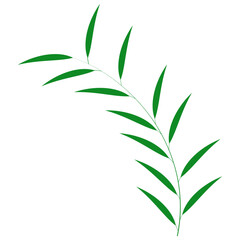 Green Leaf Element On White Background.