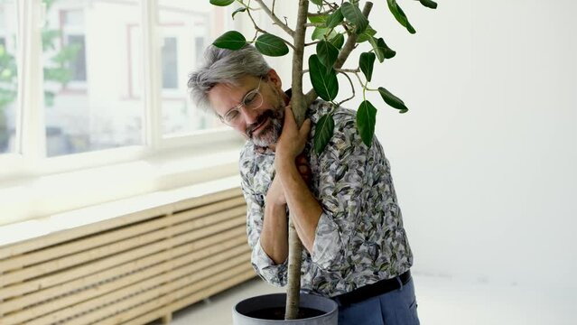 Best ager finds embracing potted tree at modern office