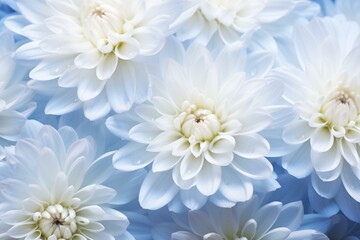 extreme macro of white chrysanthemum , bokeh background, saturated, high contrast, studio lighting, natural photography, award winning. Generative AI