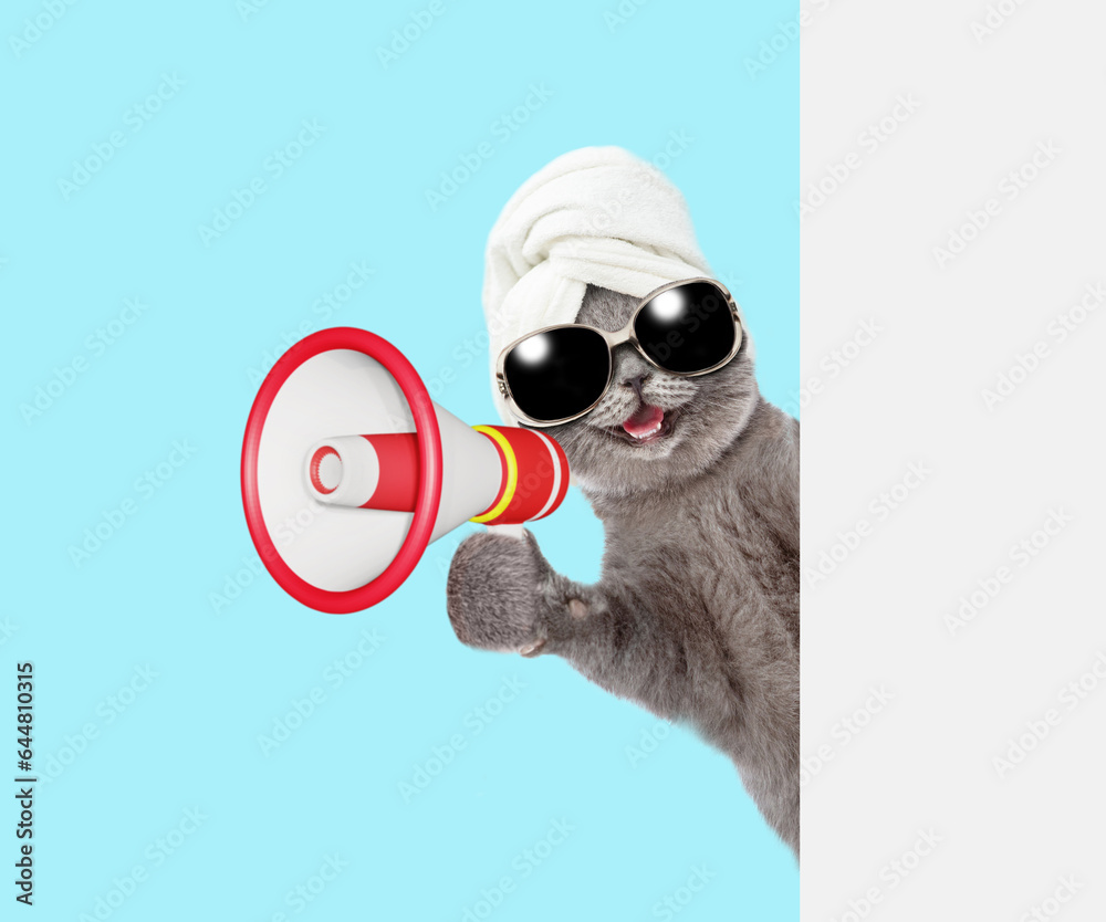 Poster happy cat with towel on it head looks from behind empty white banner. isolated on blue background