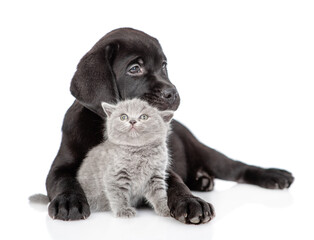 Black labrador puppy hugs tiny kitten. Pets look away on empty space together. Isolated on white background