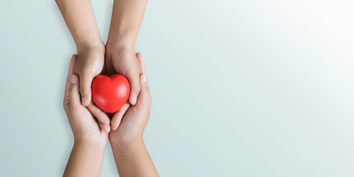 top view of hands holding red heart in concept healthcare, wellbeing, organ donation, and insurance life. World Heart Day World Health Day National Organ Donor Day. On a blue background,