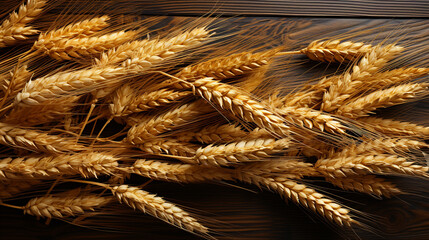 wheat seed plant background