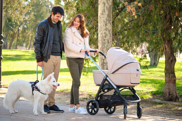 Man and pregnant woman walking with their dog and baby stroller in a park. Family.