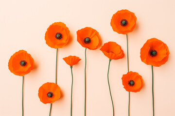 Collection of beautiful poppy flowers on solid background.
