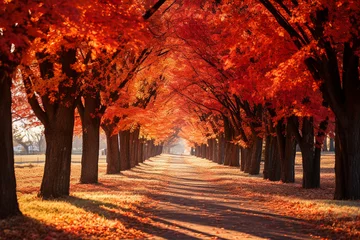Fototapete Orange autumn avenue full of fallen coloured leaves. AI generative.