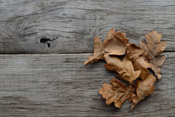 Naklejka na ściany i meble Autumn leaves on old wooden background.