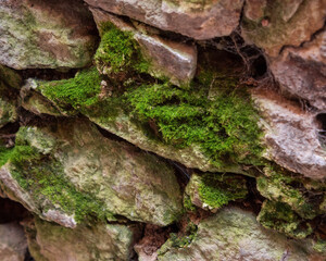 pattern of stone wall. old rough surface