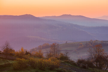 carpathian countryside landscape in autumn. misty morning weather at sunrise. trees in fall foliage on the hills