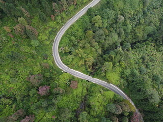 view of the road