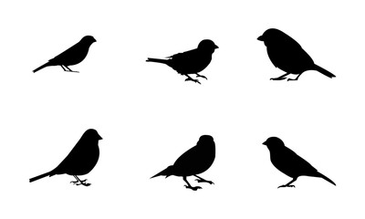 set of silhouettes of Sparrow 