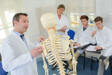 Teacher discussing skeleton with students