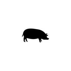 Pig icon isolated on white background. 