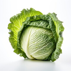 Fototapeta premium cabbage isolated on white background