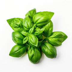 basil leaves isolated on white