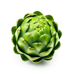 Obraz premium artichoke isolated on white background