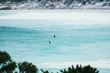 surfers