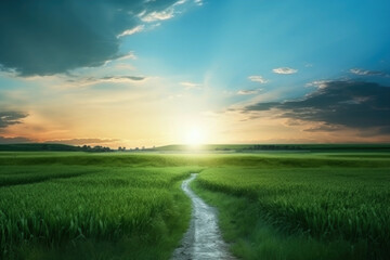 Fototapeta na wymiar Beautiful sunset over green field. Landscape with a path.