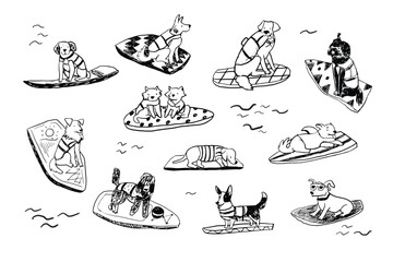 Dog surfing vector line illustrations set. - 644869709