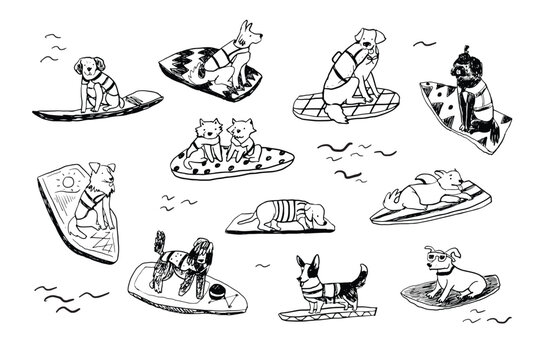 Dog surfing vector line illustrations set.
