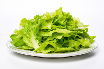 Freshly Shredded Lettuce on a Clean White Plate