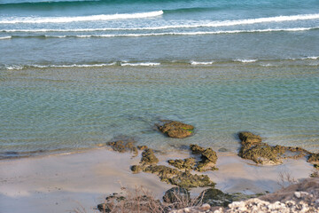 Fuerteventura beach with crystal clear waters