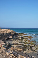 Fototapeta na wymiar Fuerteventura beach with crystal clear waters