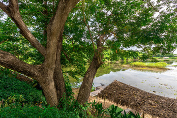 Background of wooden chairs or modern chairs that are placed in the interior of a restaurant or coffee shop for customers to sit while using the service.