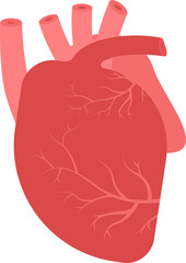 Obraz premium Flat Human Heart Structure Icon In Red Color.