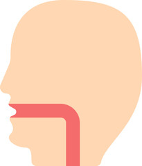 Red And Peach Esophagus Anatomy Flat Icon.