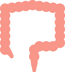 Flat Illustration Of Large Intestine Red Icon.