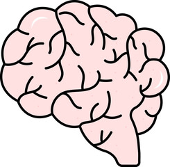 Pink And White Brain Anatomy Flat Icon.