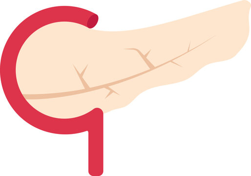 Flat Illustration Of Pancreas Anatomy Red Icon.