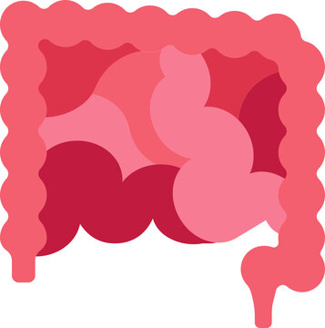 Flat Illustration Of Intestine Anatomy Red Icon.