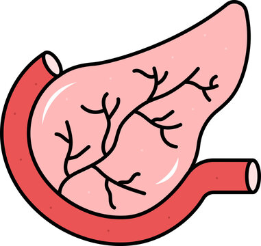 Flat Illustration Of Pancreas Anatomy Red Icon.